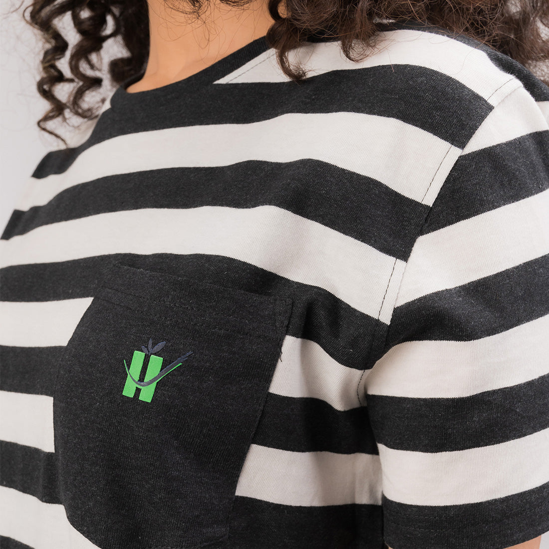 Melange Stripes Regular Fit T-Shirt